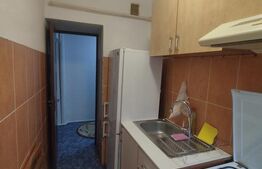 Apartament 3 camere Alexandru cel Bun