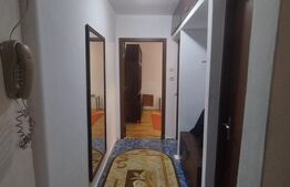 Apartament 3 camere Alexandru cel Bun