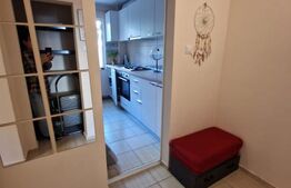 Apartament 2 camere, 50 mp, zona Tatarasi-Sud 