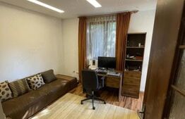 Vilă mobilata + teren 800 mp Bucium, zona Plopii fara Sot