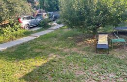 Vilă mobilata + teren 800 mp Bucium, zona Plopii fara Sot