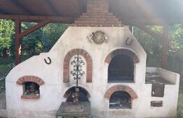 Vilă mobilata + teren 800 mp Bucium, zona Plopii fara Sot