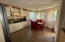 Vilă mobilata + teren 800 mp Bucium, zona Plopii fara Sot