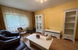 Apartament 3 camere, 78 mp, zona Pacurari