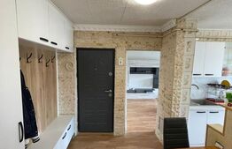 Apartament cu 3 camere, 64 mp, zona Podul De Fier