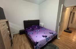 Apartament de 2 camere, 43 mp util + 35 mp gradina, zona Copou