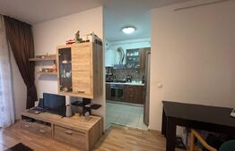 Apartament de 2 camere, 43 mp util + 35 mp gradina, zona Copou