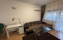 Apartament de 2 camere, 43 mp util + 35 mp gradina, zona Copou