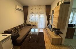 Apartament de 2 camere, 43 mp util + 35 mp gradina, zona Copou