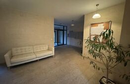 Apartament de 2 camere, 43 mp util + 35 mp gradina, zona Copou
