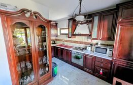 Resedintă de lux în Bucium cu teren generos – finisaje premium