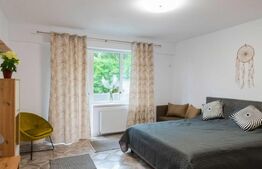 Apartament 1 camera - Zona Tatarasi