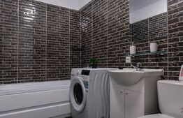 Apartament 1 camera - Zona Tatarasi