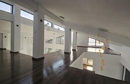 Vila superba, 4 camere, in zona Hlincea