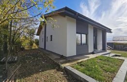 Vila superba, 4 camere, in zona Hlincea