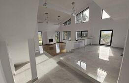 Vila superba, 4 camere, in zona Hlincea