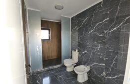 Vila superba, 4 camere, in zona Hlincea