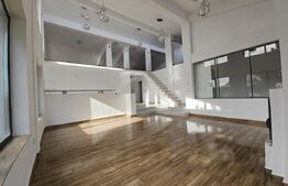 Vila superba, 4 camere, in zona Hlincea