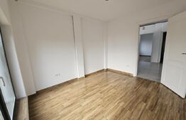 Vila superba, 4 camere, in zona Hlincea