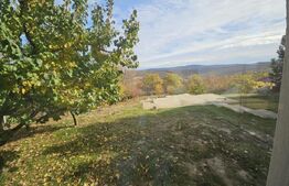 Vila superba, 4 camere, in zona Hlincea