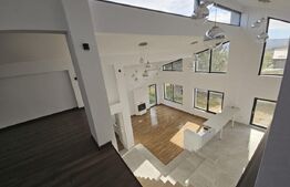 Vila superba, 4 camere, in zona Hlincea