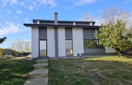 Vila superba, 4 camere, in zona Hlincea