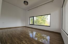 Vila superba, 4 camere, in zona Hlincea