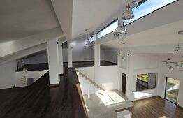 Vila superba, 4 camere, in zona Hlincea