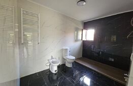 Vila superba, 4 camere, in zona Hlincea