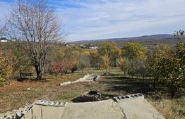 Vila superba, 4 camere, in zona Hlincea