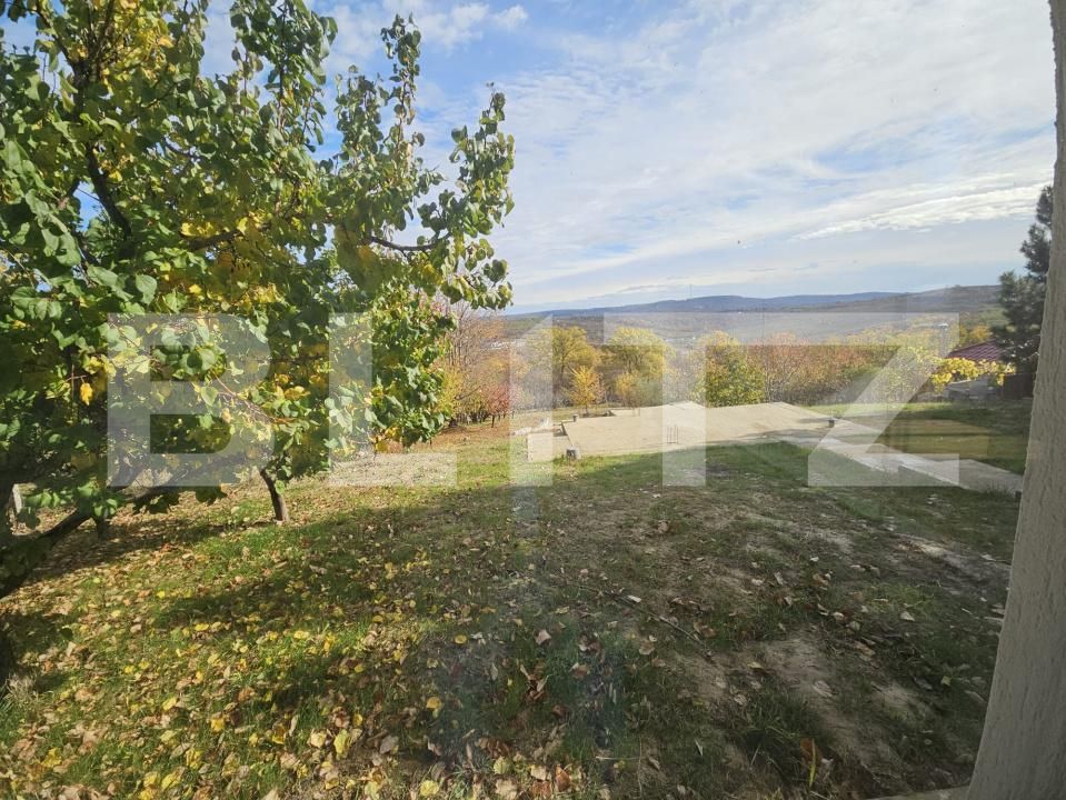 Casa de vânzare 6 camere Hlincea - 180712CV | BLITZ Iași | Poza23