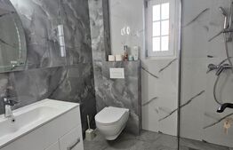 Casa 4 camere, 500 mp teren, mobilata si utilata, Vorovesti