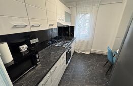 Apartament 2 camere,  49.10 mp, zona Podu Roș
