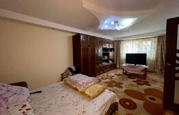 Case in aceeasi curte, 500 mp,  zona Miroslava-Family Market