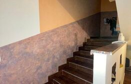 2 Case in aceeasi curte, 500 mp,  zona Miroslava-Family Market