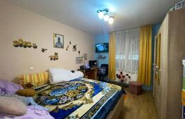 2 Case in aceeasi curte, 500 mp,  zona Miroslava-Family Market