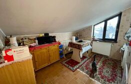 2 Case in aceeasi curte, 500 mp,  zona Miroslava-Family Market