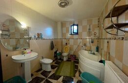 2 Case in aceeasi curte, 500 mp,  zona Miroslava-Family Market