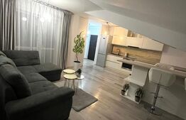 Apartament de 2 camere, 98 mp, zona Popas Pacurari