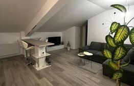 Apartament de 2 camere, 98 mp, zona Popas Pacurari