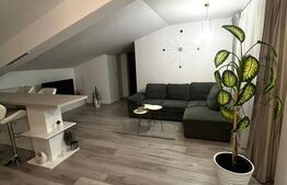 Apartament de 2 camere, 98 mp, zona Popas Pacurari