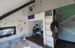 Vila de lux cu 4 camere in V. Ursului, langa padure