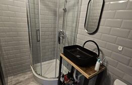 Vila de lux cu 4 camere in V. Ursului, langa padure