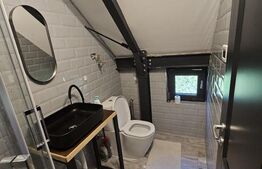 Vila de lux cu 4 camere in V. Ursului, langa padure