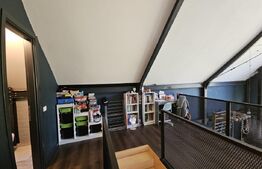 Vila de lux cu 4 camere in V. Ursului, langa padure