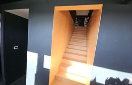 Vila de lux cu 4 camere in V. Ursului, langa padure