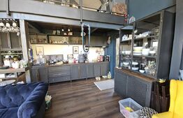 Vila de lux cu 4 camere in V. Ursului, langa padure