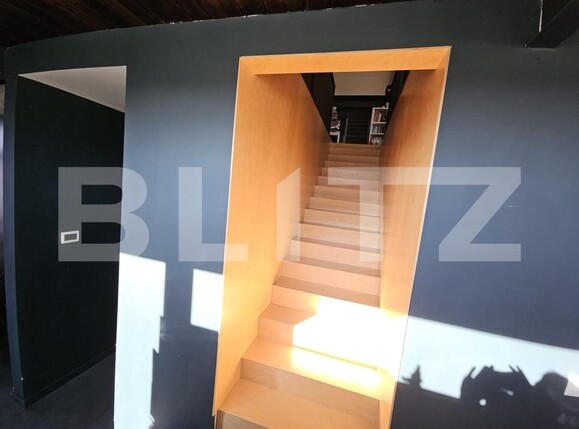 Casa de vânzare 4 camere Valea Ursului - 181203CV | BLITZ Iași | Poza14