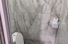 Cladire mixta, magazin, bar, spatiu birouri, Letcani