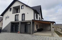 Cladire mixta, magazin, bar, spatiu birouri, Letcani